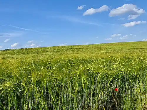 paysage campagne Gers